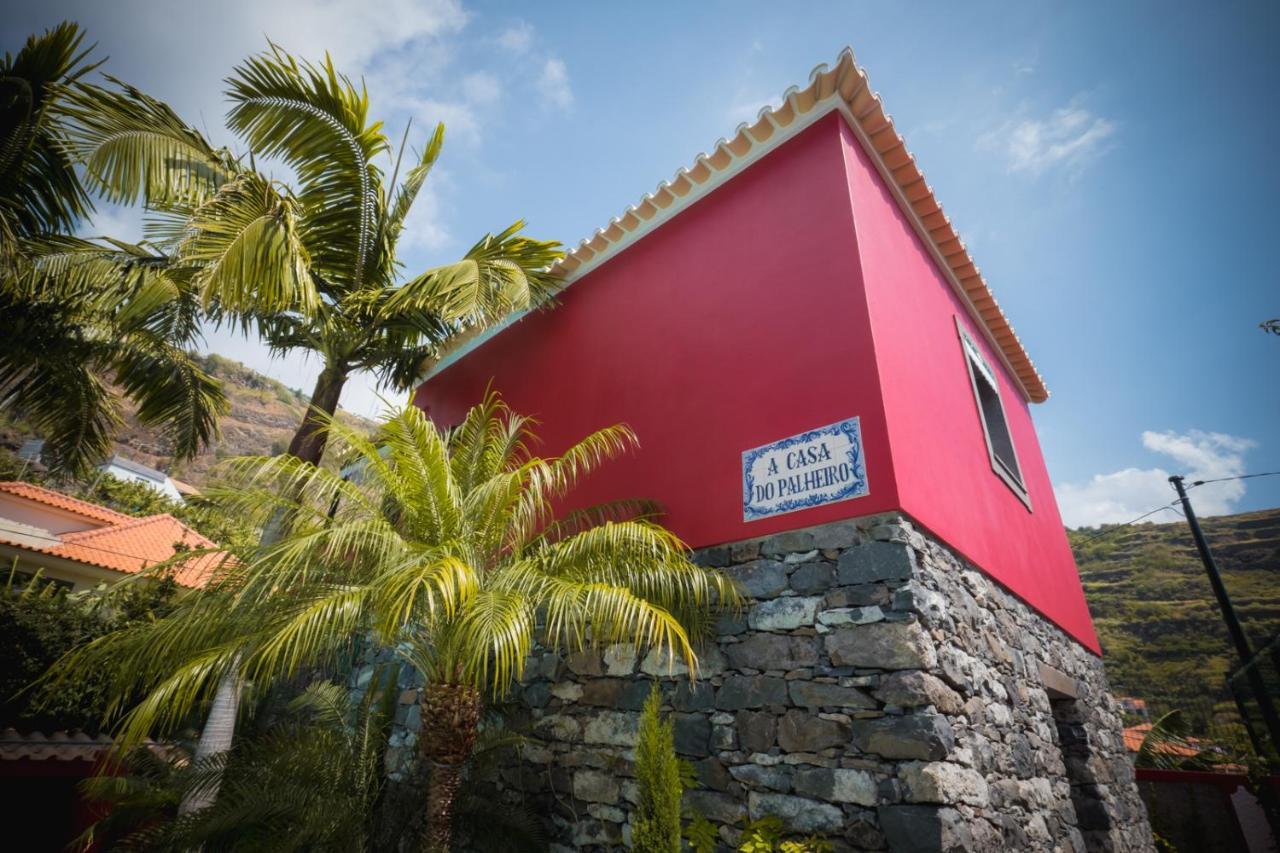 הוילה פונטה דו סול Quinta Da Tia Briosa By Madeira Sun Travel מראה חיצוני תמונה